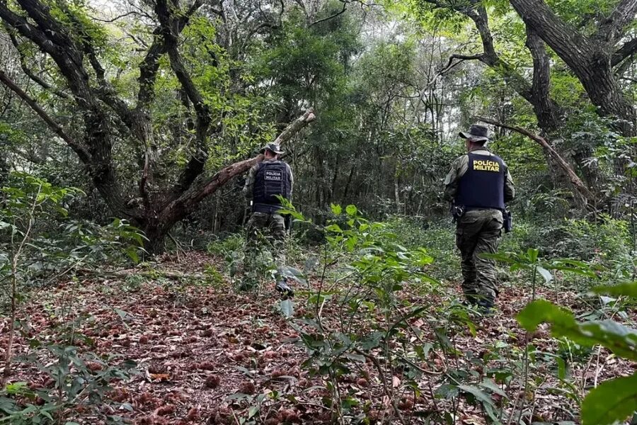 Trio de caçadores é flagrado com fuzil e veados abatidos no PR