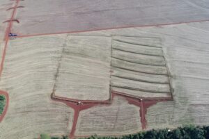 Uso de terraços em lavouras reduz perda de água e solo