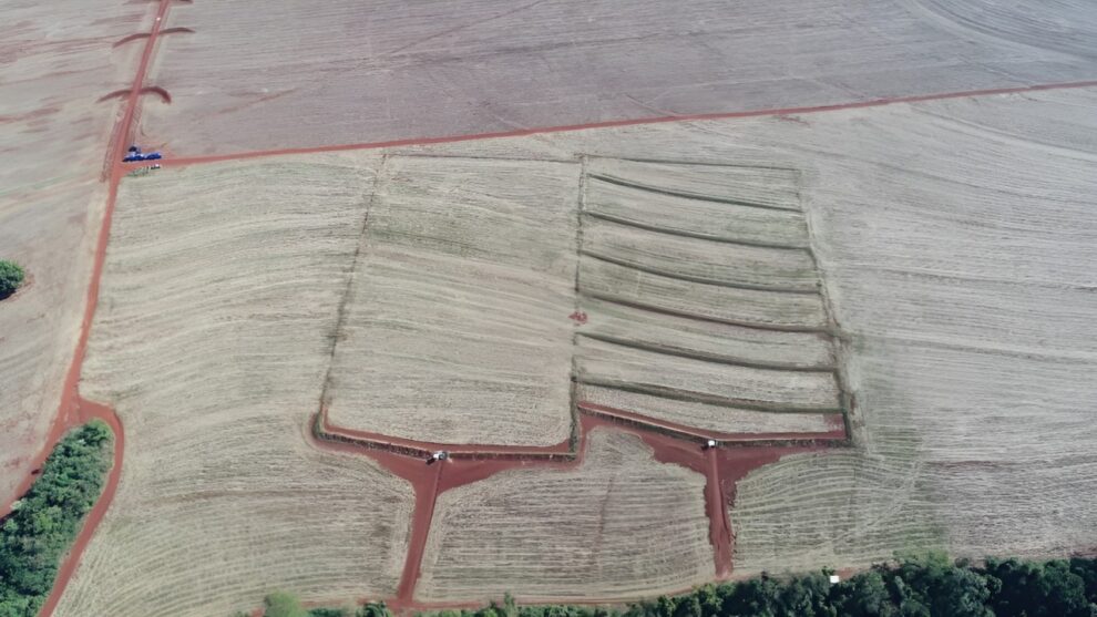 Uso de terraços em lavouras reduz perda de água e solo