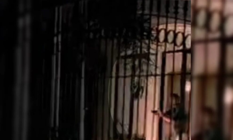 Após causar acidente com morte, motorista atira contra motoboys e imprensa em Maringá; VÍDEO