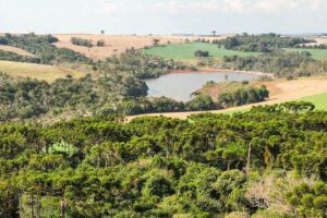 FAEP apoia projeto que impede embargo automático de propriedades rurais