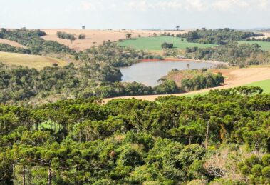 FAEP apoia projeto que impede embargo automático de propriedades rurais
