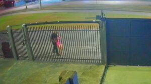 Homem é denunciado por estuprar jovem após arrastá-la para matagal no PR; vídeo flagrou crime