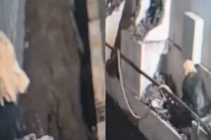 Homem é preso após furtar fios de empresa em Maringá; câmera registrou ação