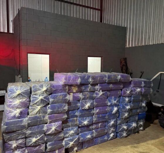 Sequestro e cárcere privado levam Polícia Civil a depósito com mais de 2 toneladas de maconha na região