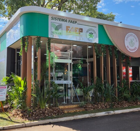 Série de eventos na Expoingá 2026 debate as perspectivas do agronegócio brasileiro