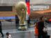 Abertura da Copa 2026 tem dois jogos pelo Grupo A