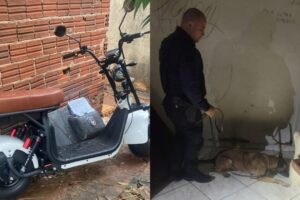 Celular furtado é rastreado e leva polícia a casa abandonada com materiais ilícitos em Maringá