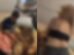 Cena revoltante: vídeo mostra criança de 10 anos com necessidades especiais sendo agredida pela família em Paiçandu