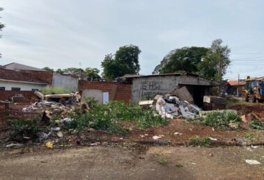 Com 60 mil solicitações, Limpeza Urbana é a Secretaria com mais pedidos protocolados pela população