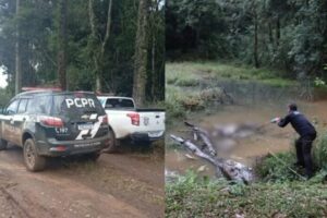 Irmãos são presos suspeitos de matar homem e esconder corpo em açude no PR