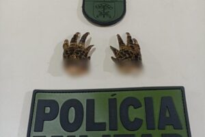 Polícia encontra pés de jacaré em freezer durante ocorrência no Paraná