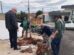 Prefeitura de Jandaia do Sul inicia nova etapa de plantio de árvores