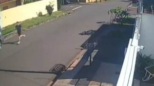 Câmera flagra momento em que jovem é roubada e agredida na região da Avenida Mandacaru, em Maringá