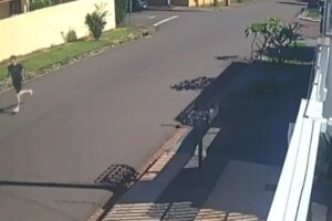 Câmera flagra momento em que jovem é roubada e agredida na região da Avenida Mandacaru, em Maringá