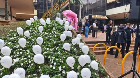 Caminhada em Maringá reforça ato estadual de Combate ao Feminicídio