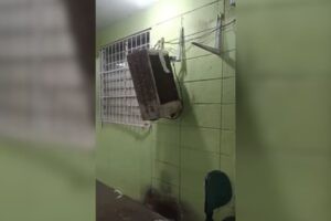 Guarda Municipal reforça policiamento após UBS de Maringá ser alvo de furto pela 5ª vez em 2026