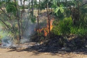 Homem é preso em flagrante por provocar incêndios em área de preservação no Portal das Torres, em Maringá