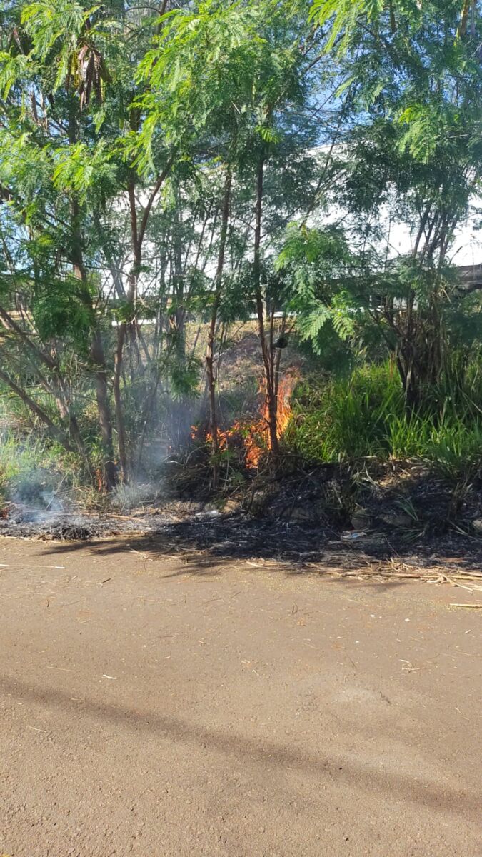 Homem é preso em flagrante por provocar incêndios em área de preservação no Portal das Torres, em Maringá