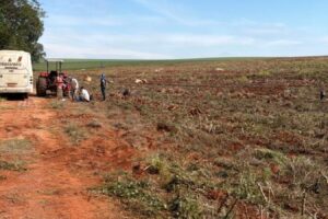 Operação resgata 18 trabalhadores em condições análogas à escravidão em fazenda no noroeste do Paraná