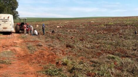 Operação resgata 18 trabalhadores em condições análogas à escravidão em fazenda no noroeste do Paraná