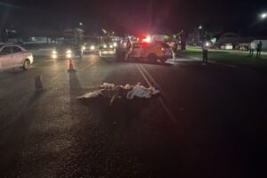 Pedestre morre após ser atropelado por caminhão na Avenida Cristóvão Colombo, em Marialva