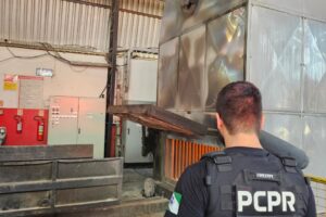Polícia Civil destrói mais de uma tonelada e meia de drogas na região
