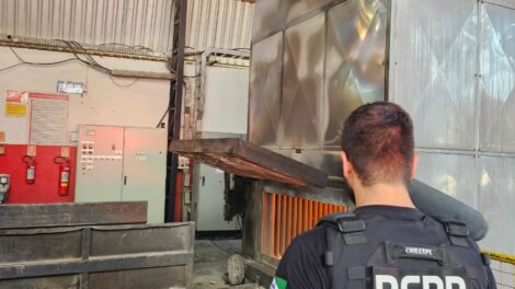 Polícia Civil destrói mais de uma tonelada e meia de drogas na região