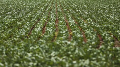 Reunião com bancada do agro termina sem acordo sobre dívidas rurais