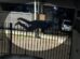 Vídeo mostra homem invadindo residência em Sarandi antes de morrer