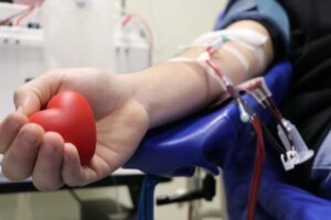 Ação vai reunir 100 doadores para abastecer banco de sangue do Hemocentro de Maringá
