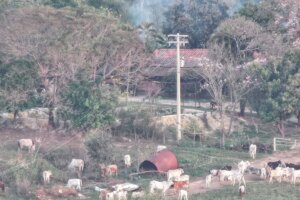 Caso de Icaraíma: Procurados, Buscariollos tentaram fugir de operação da Polícia Civil; drone flagrou a ação