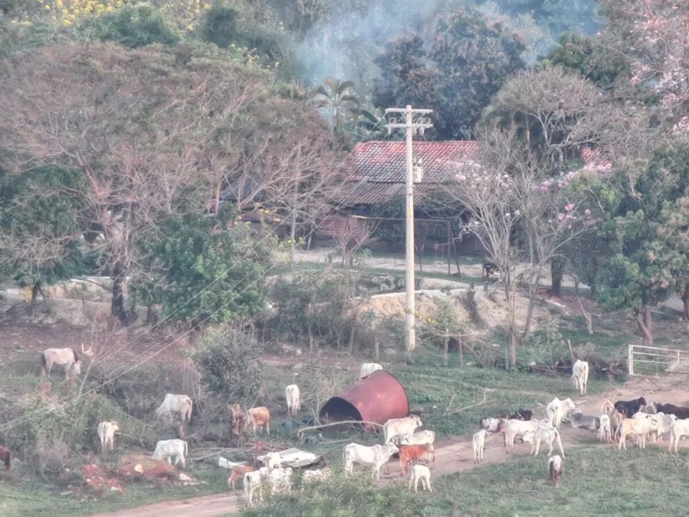 Caso de Icaraíma: Procurados, Buscariollos tentaram fugir de operação da Polícia Civil; drone flagrou a ação
