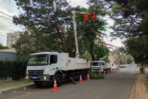 Copel realiza mutirão de podas em árvores de grande porte neste fim de semana em Maringá