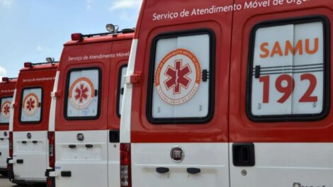 Criança de 3 anos fica ferida após ataque de pitbull em Mandaguaçu
