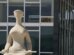Decisão do STF amplia Maria da Penha e levanta debate sobre efeitos no mercado de trabalho