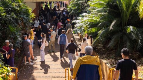 Medicina concentra as 10 maiores notas do Vestibular de Inverno da UEM