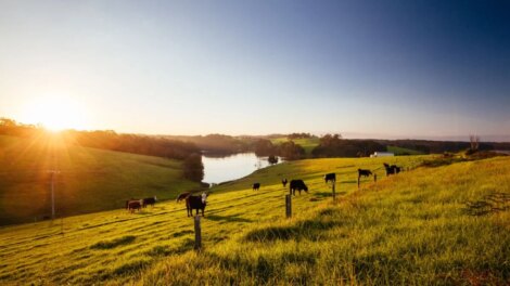 Mudança no licenciamento ambiental impacta produção agrícola e pecuária