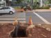 Nova lei reforça exigência para recomposição de calçadas danificadas após obras em Maringá