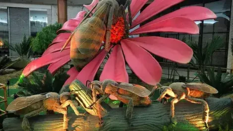 Parque do Ingá terá exposição de insetos gigantes