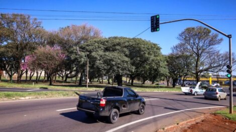 Maringá altera programação de semáforos na PR-317 com a Avenida Paranavaí para melhorar fluxo de veículos