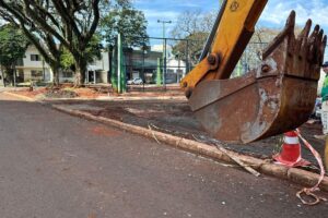 Remoção de tamareiras de praça em Maringá é levada ao Ministério Público