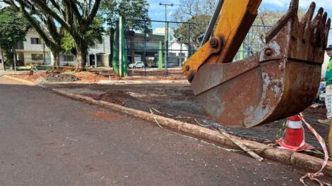 Remoção de tamareiras de praça em Maringá é levada ao Ministério Público