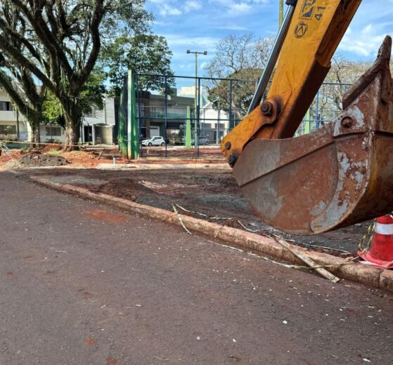 Remoção de tamareiras de praça em Maringá é levada ao Ministério Público