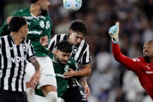 Botafogo segura Palmeiras e ajuda Flamengo, novo líder do Brasileirão