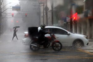 Chuva derruba 46 árvores e causa danos em imóveis, veículos e postes em Maringá
