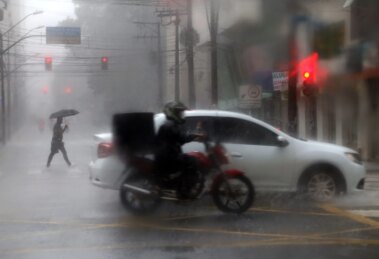 Chuva derruba 46 árvores e causa danos em imóveis, veículos e postes em Maringá