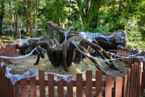 Exposição de insetos gigantes no Parque do Ingá começa nesta sexta-feira (25); Saiba os detalhes