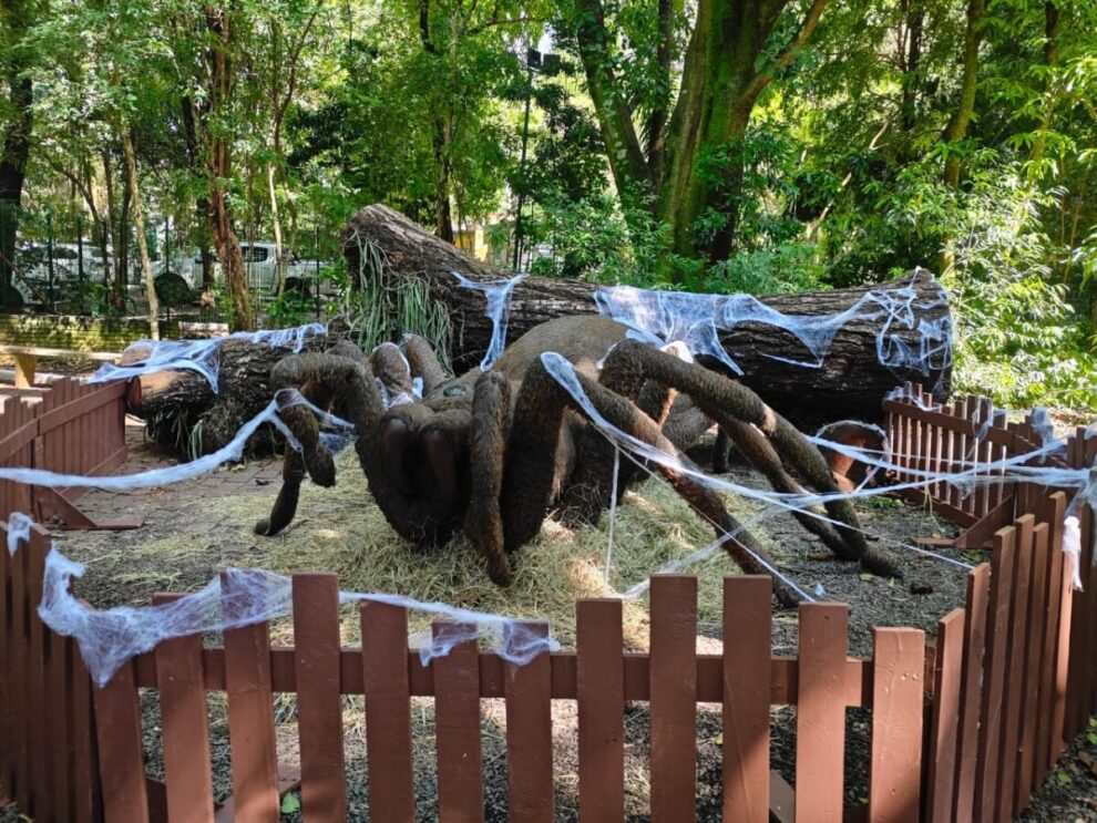Exposição de insetos gigantes no Parque do Ingá começa nesta sexta-feira (25); Saiba os detalhes