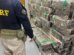 Homem é preso por transportar duas toneladas de maconha escondidas em baú de caminhão no Paraná